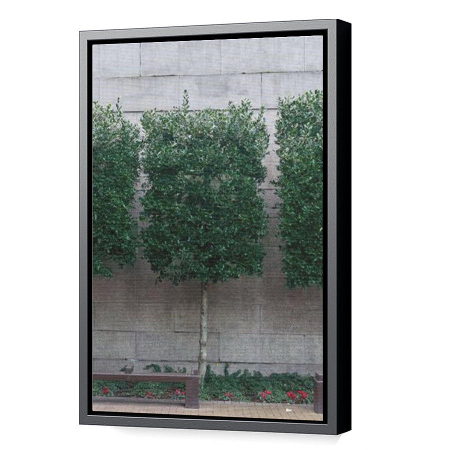 Thumbnail for Canvas - Black Floating Frame