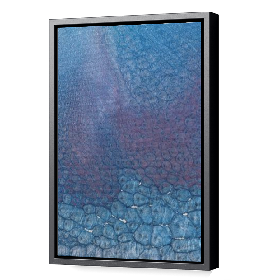 Thumbnail for Canvas - Black Floating Frame