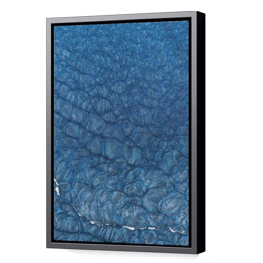 Thumbnail for Canvas - Black Floating Frame