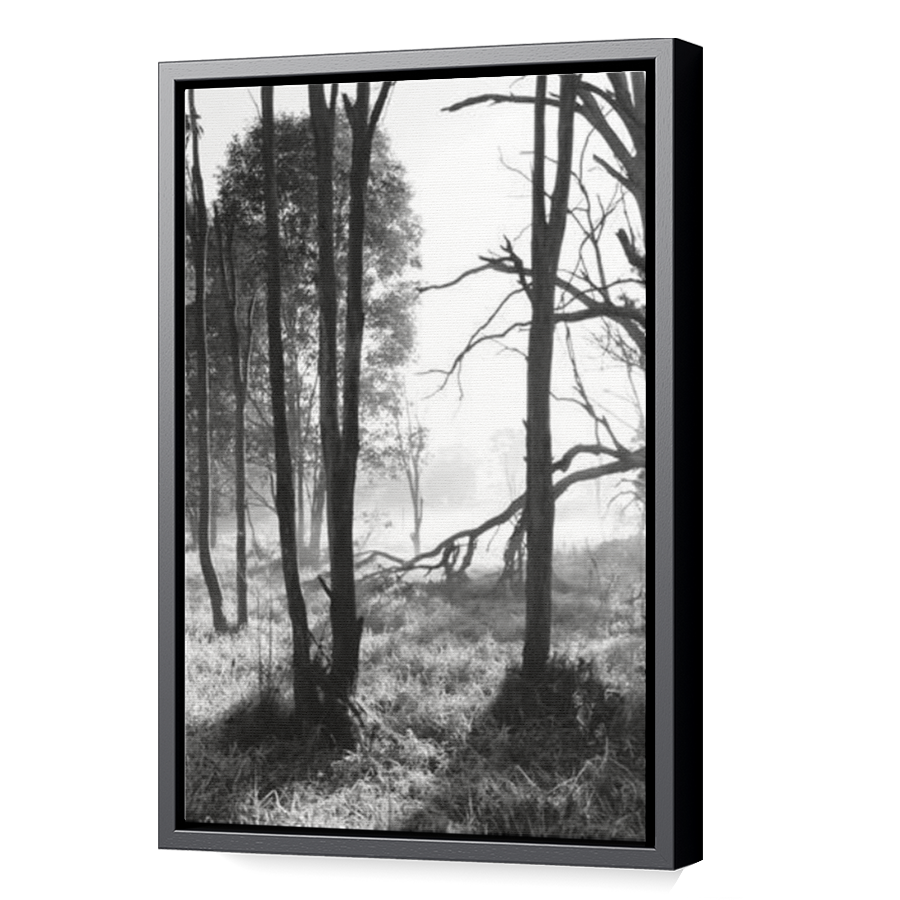 Thumbnail for Canvas - Black Floating Frame