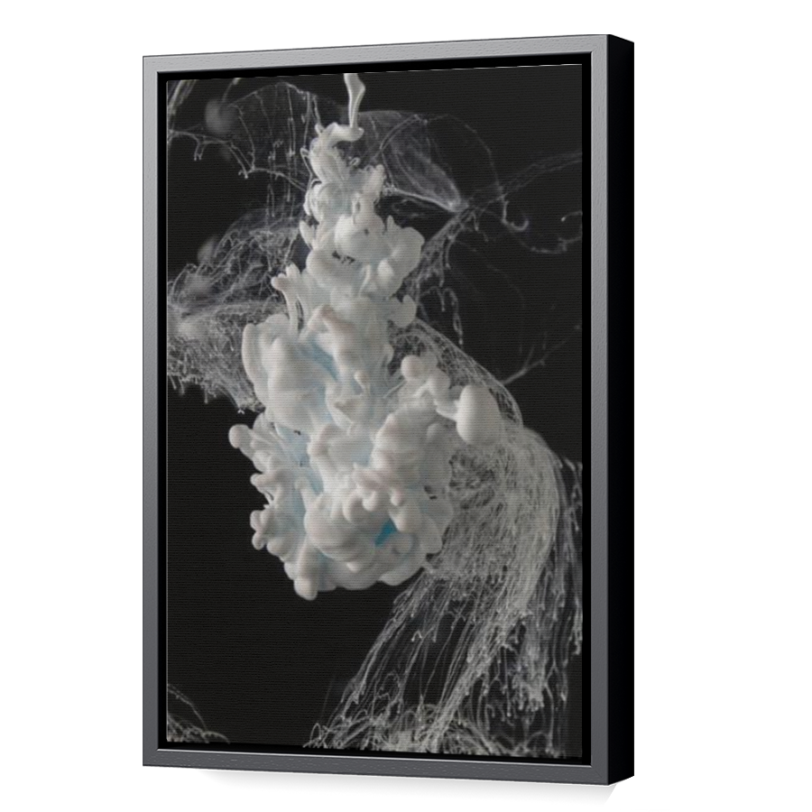 Thumbnail for Canvas - Black Floating Frame