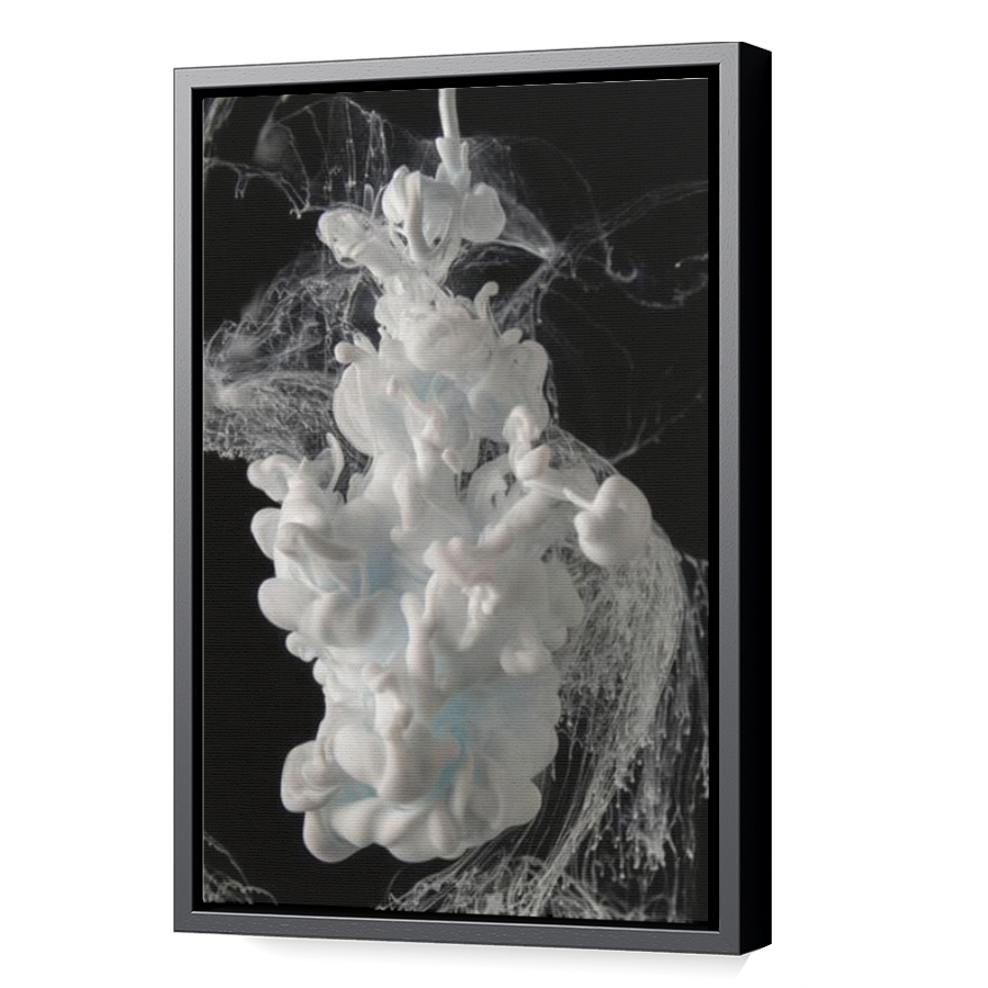 Thumbnail for Canvas - Black Floating Frame