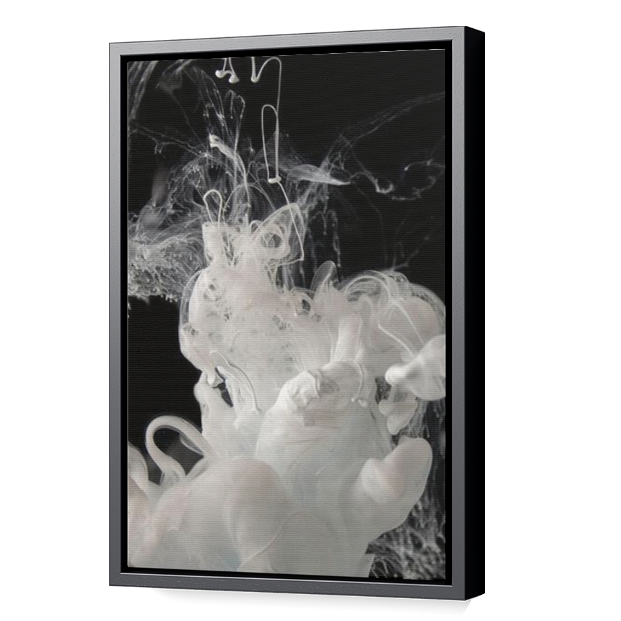 Thumbnail for Canvas - Black Floating Frame