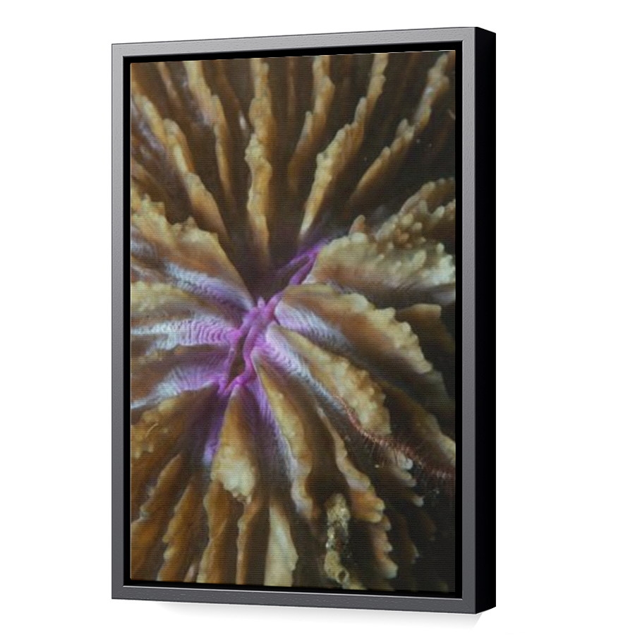 Thumbnail for Canvas - Black Floating Frame