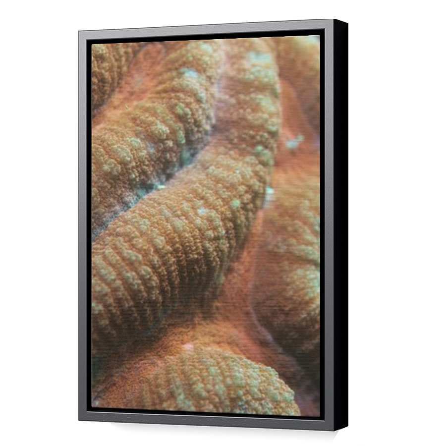 Thumbnail for Canvas - Black Floating Frame