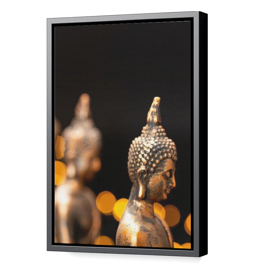 Thumbnail for Canvas - Black Floating Frame