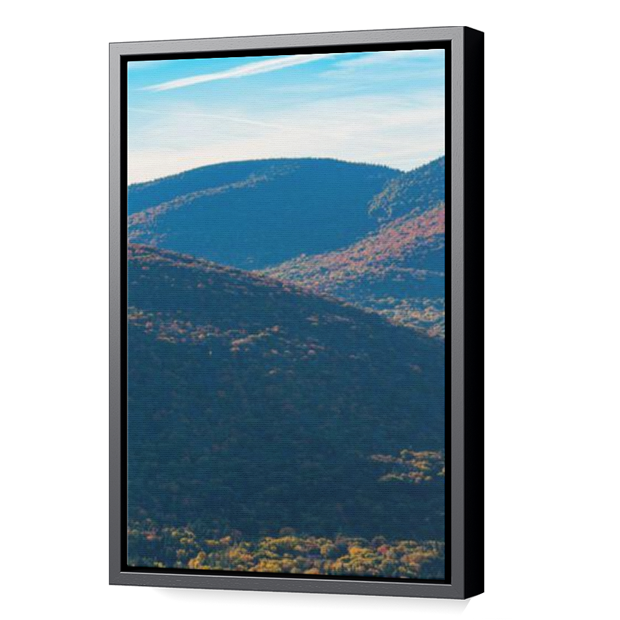 Thumbnail for Canvas - Black Floating Frame