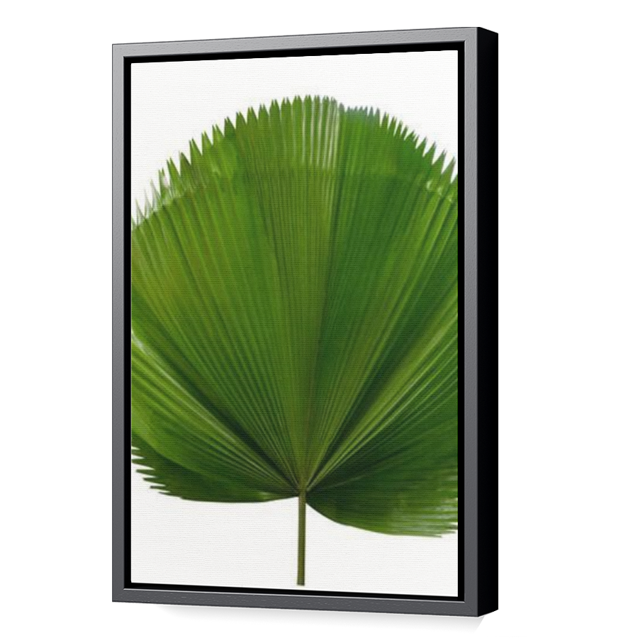 Thumbnail for Canvas - Black Floating Frame
