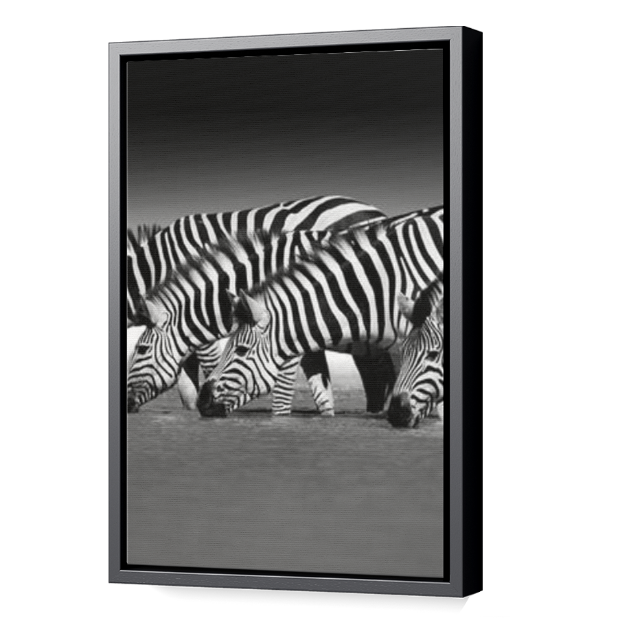 Thumbnail for Canvas - Black Floating Frame