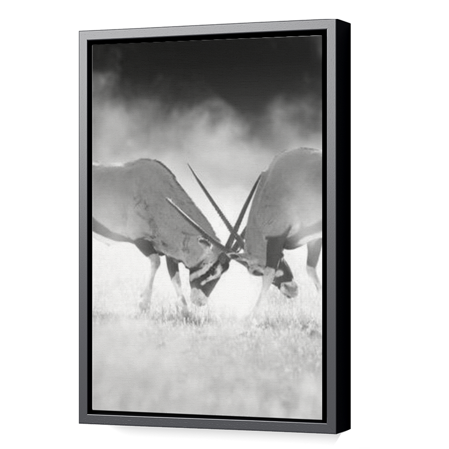 Thumbnail for Canvas - Black Floating Frame