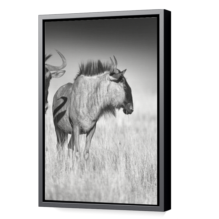 Thumbnail for Canvas - Black Floating Frame