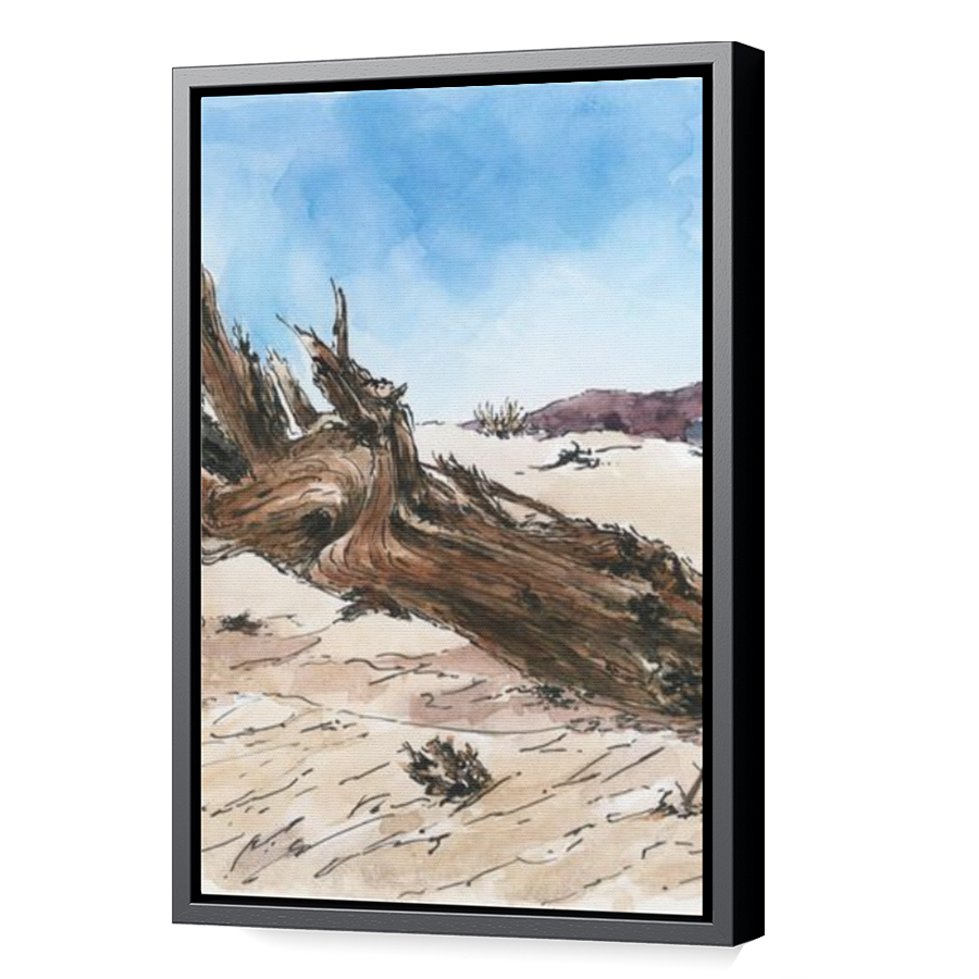 Thumbnail for Canvas - Black Floating Frame