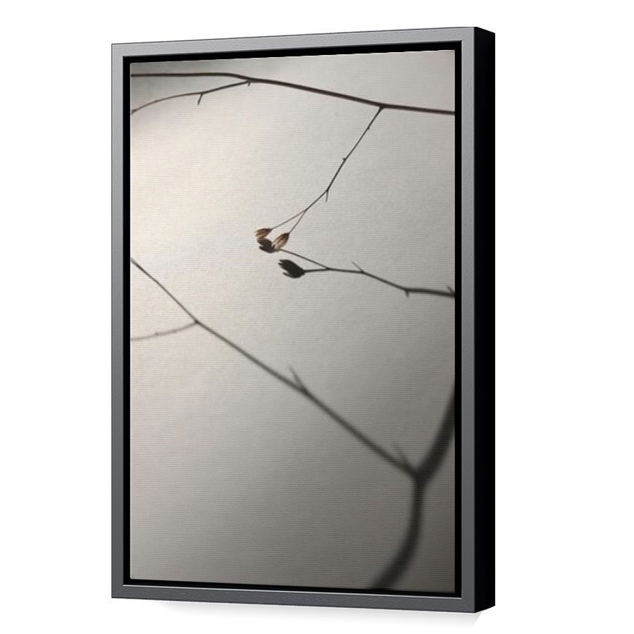 Thumbnail for Canvas - Black Floating Frame