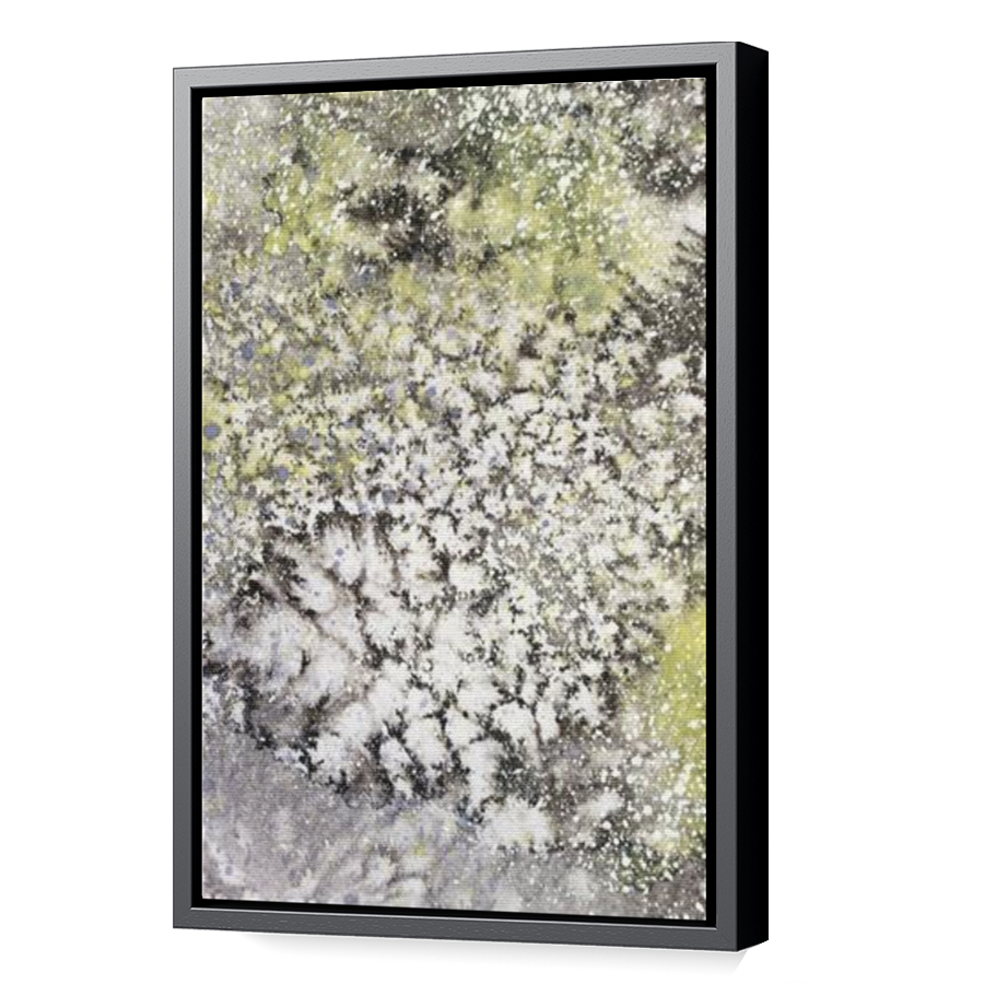 Thumbnail for Canvas - Black Floating Frame