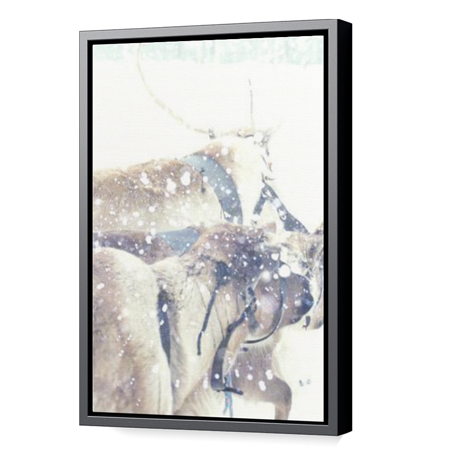 Thumbnail for Canvas - Black Floating Frame