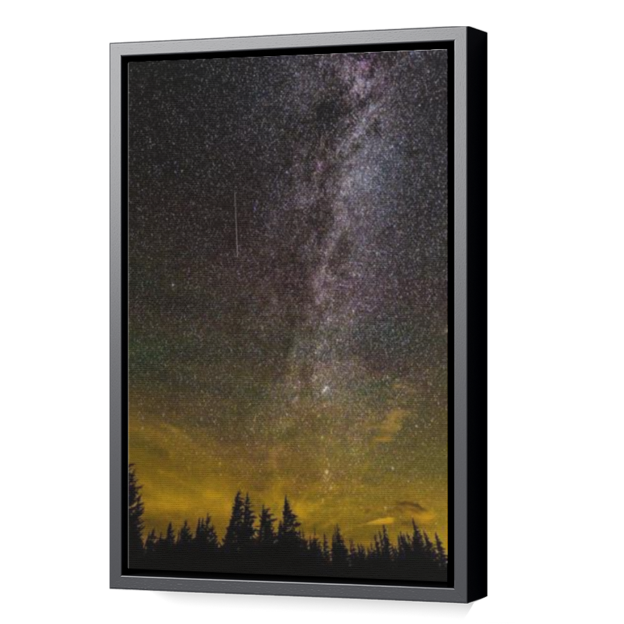 Thumbnail for Canvas - Black Floating Frame