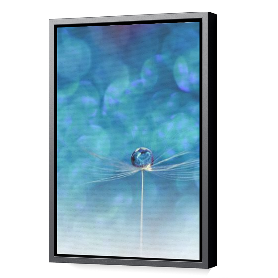 Thumbnail for Canvas - Black Floating Frame