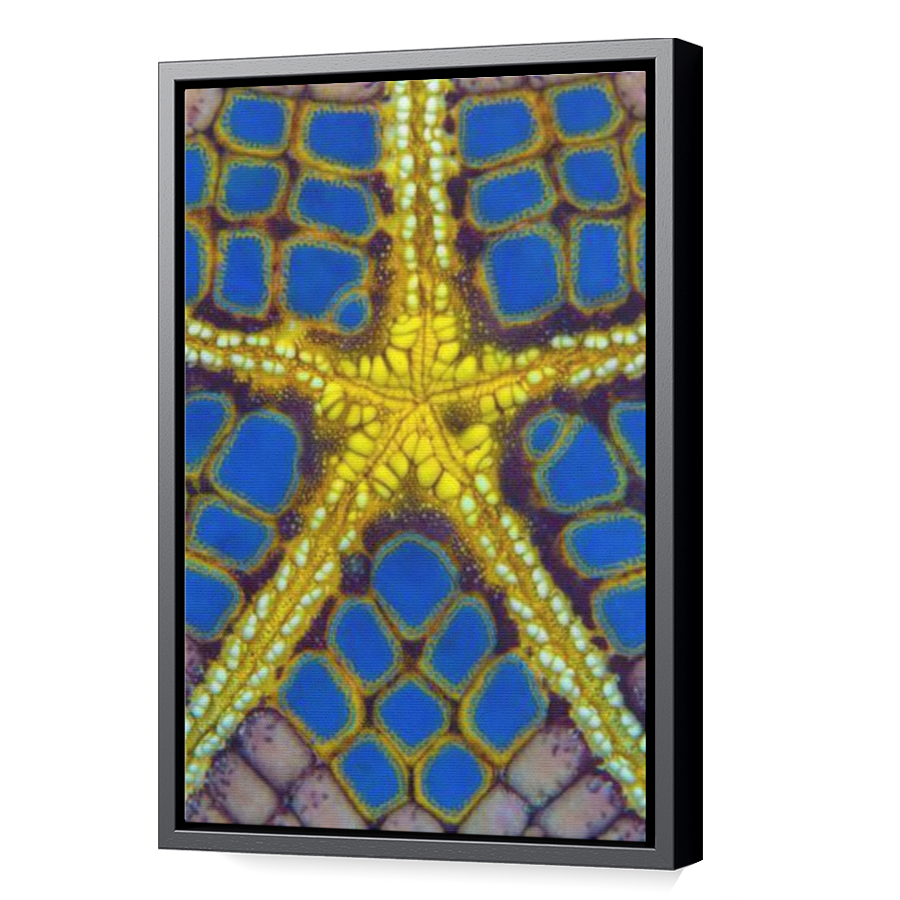 Thumbnail for Canvas - Black Floating Frame
