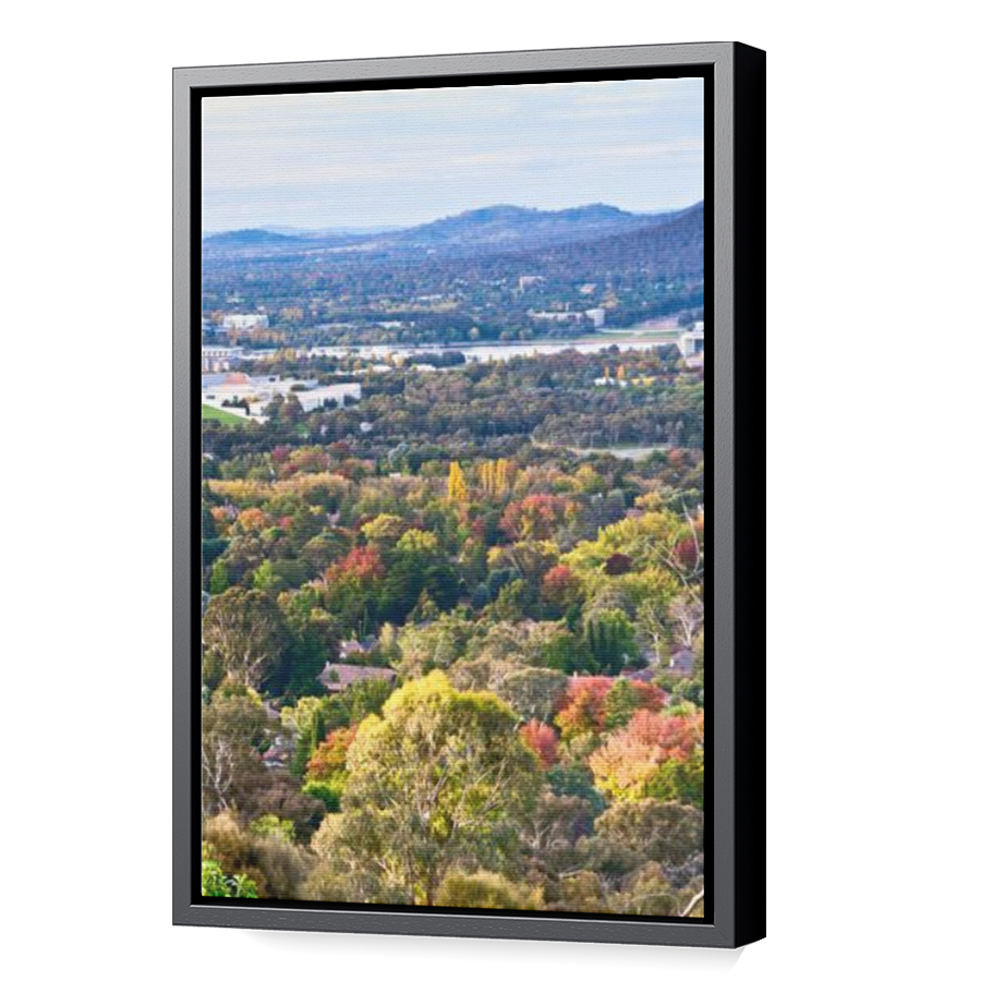 Thumbnail for Canvas - Black Floating Frame