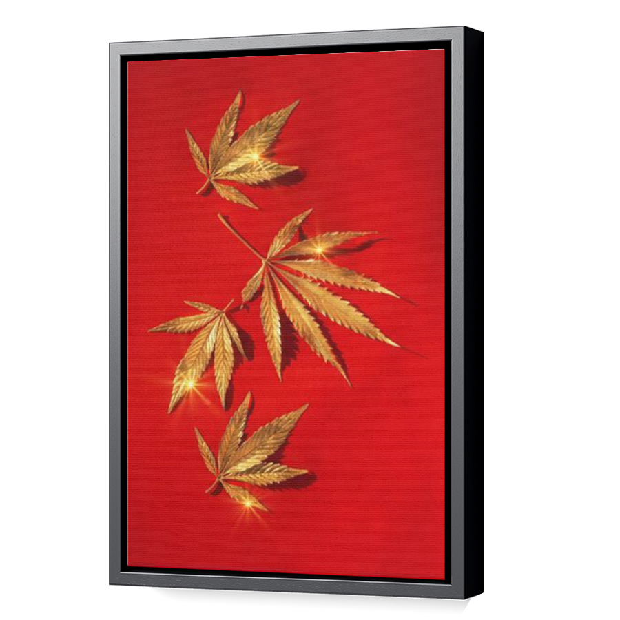 Thumbnail for Canvas - Black Floating Frame