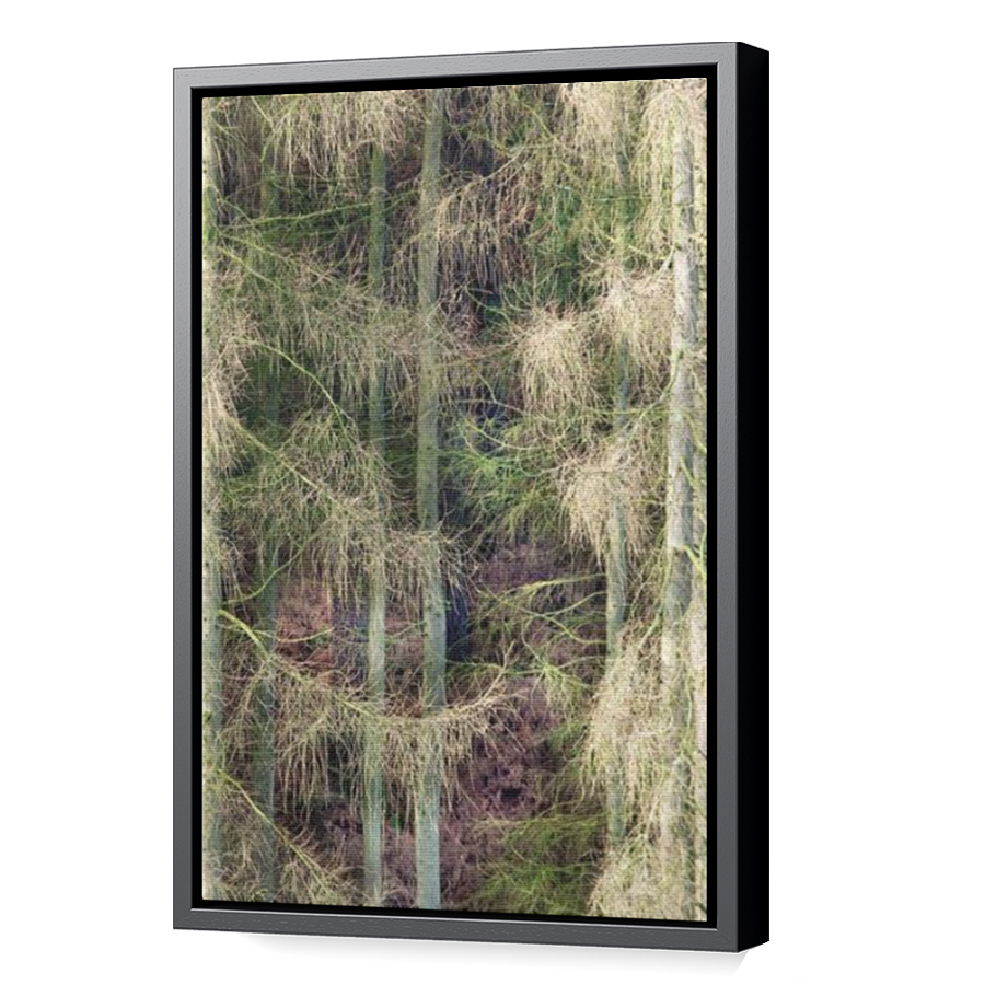 Thumbnail for Canvas - Black Floating Frame