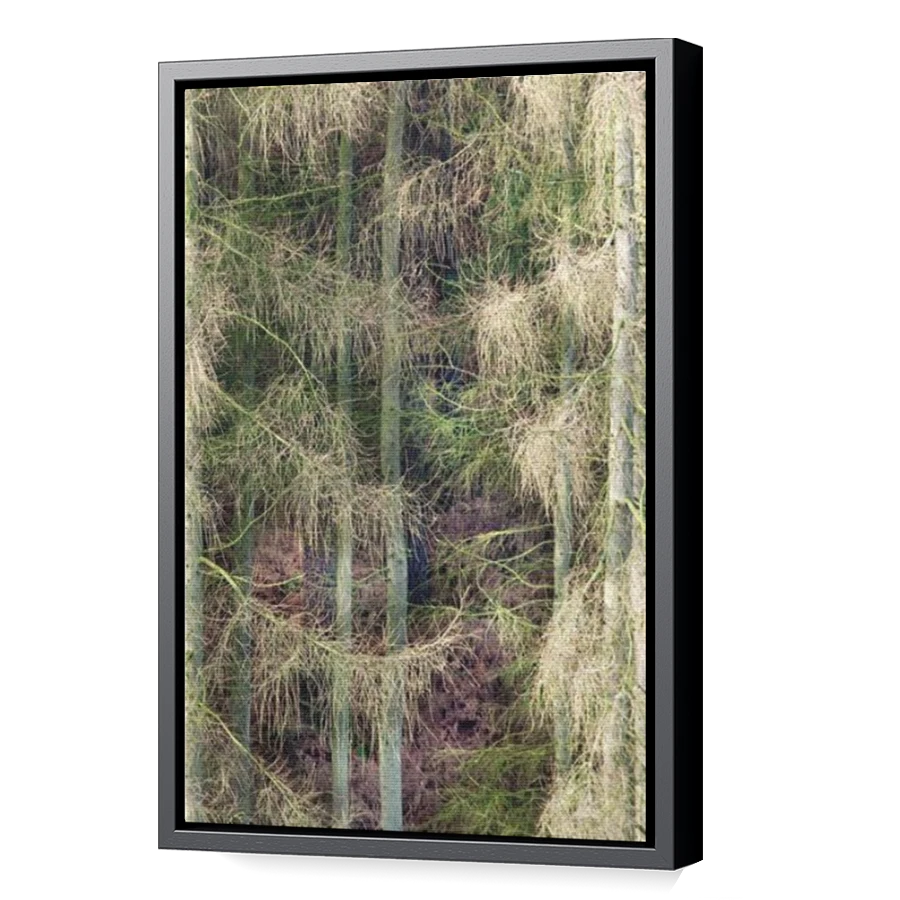 Thumbnail for Canvas - Black Floating Frame