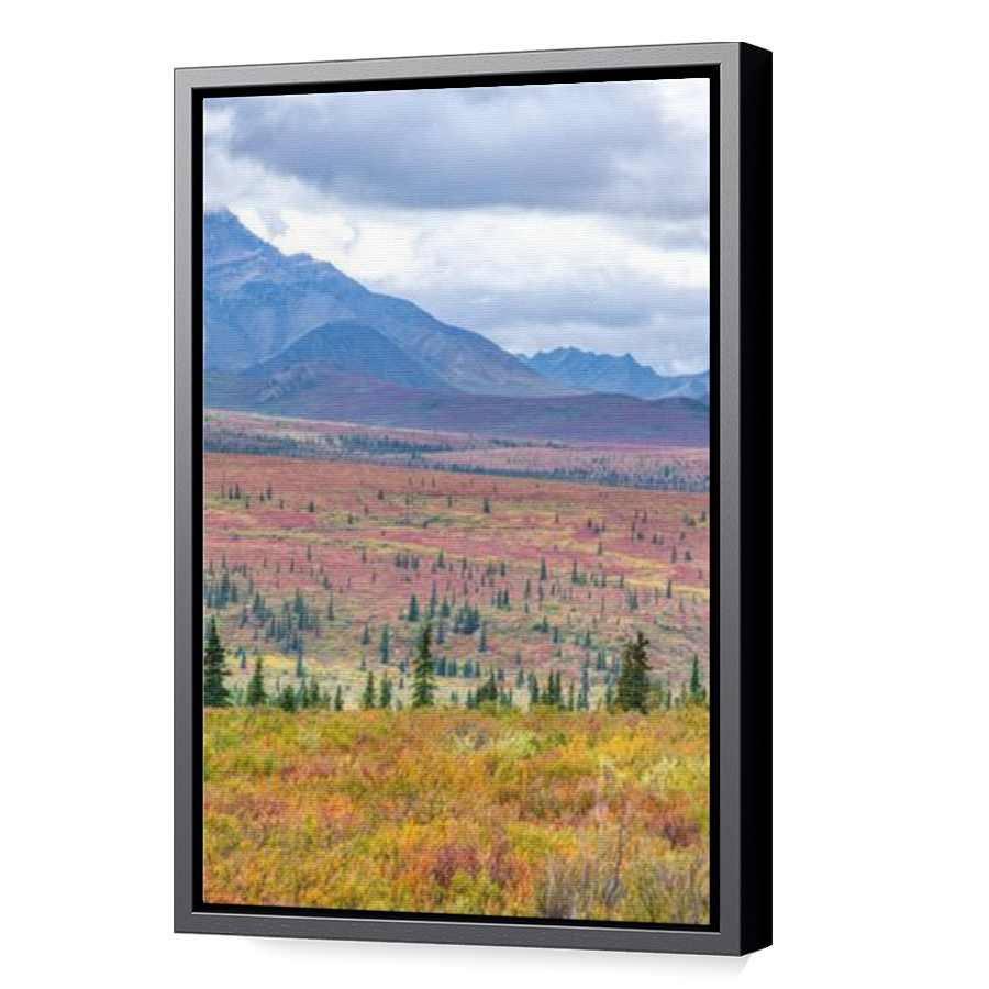 Thumbnail for Canvas - Black Floating Frame