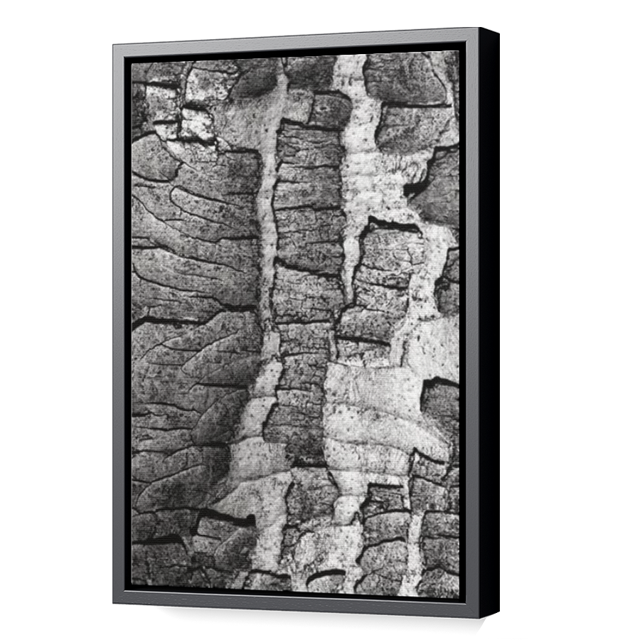Thumbnail for Canvas - Black Floating Frame
