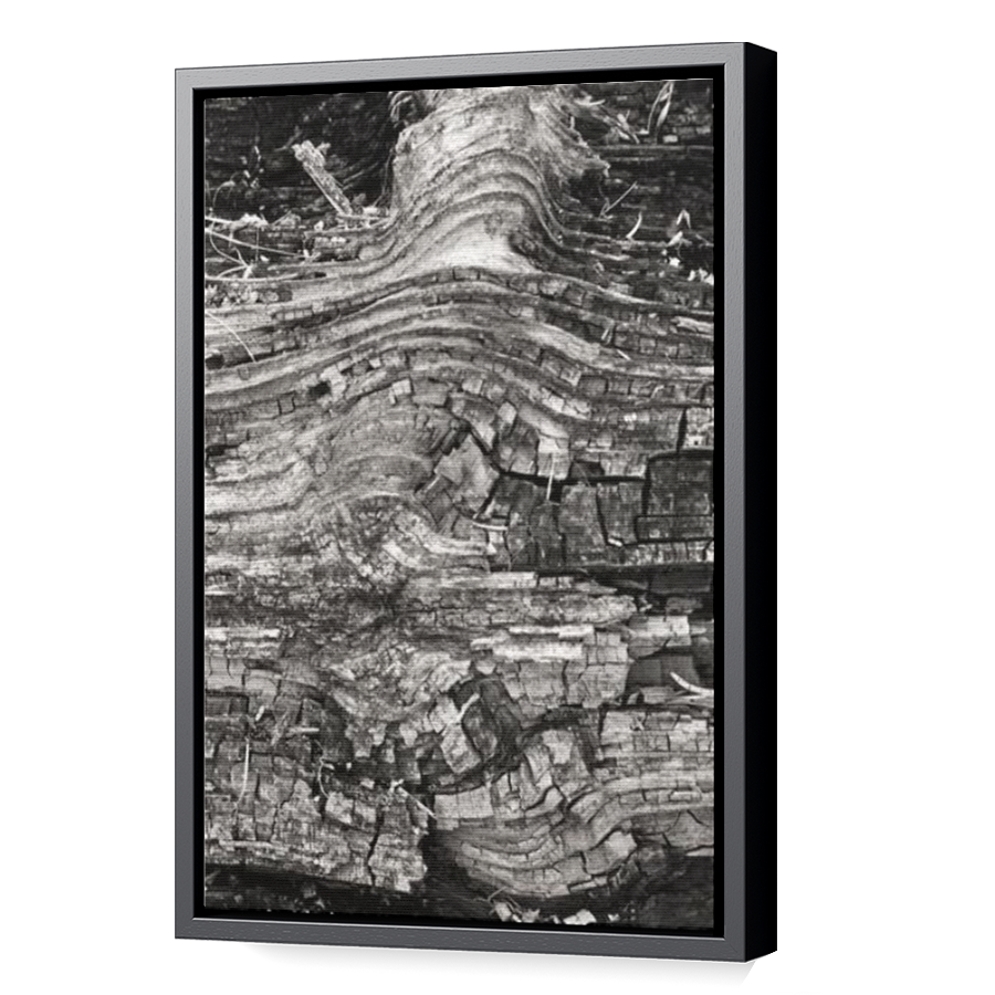 Thumbnail for Canvas - Black Floating Frame