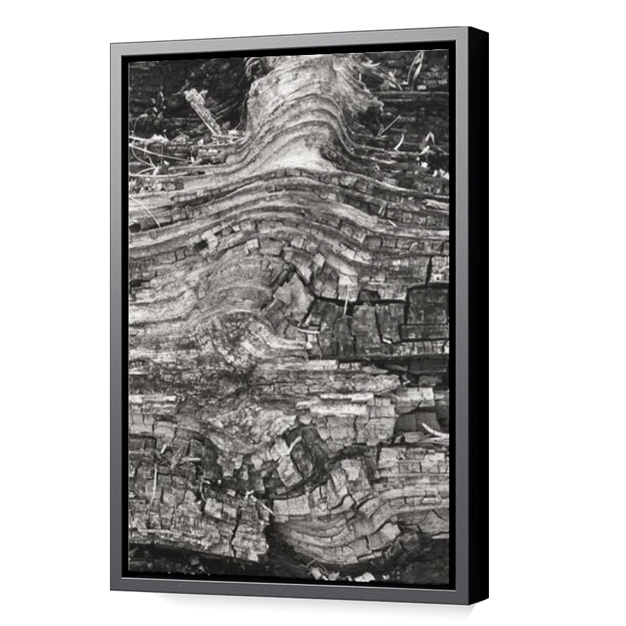Thumbnail for Canvas - Black Floating Frame