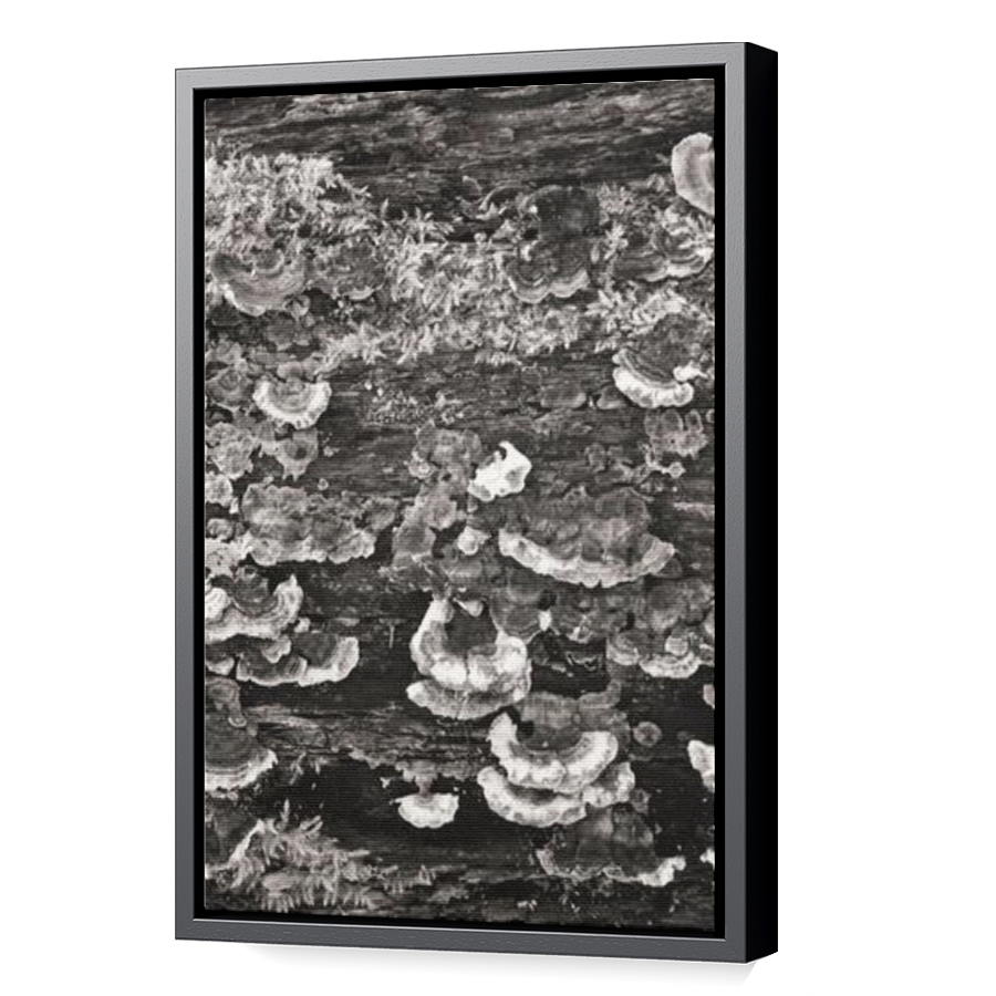 Thumbnail for Canvas - Black Floating Frame