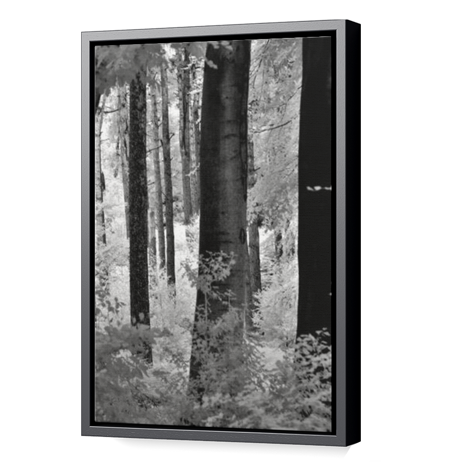 Thumbnail for Canvas - Black Floating Frame