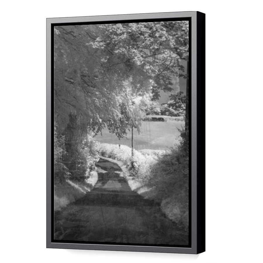 Thumbnail for Canvas - Black Floating Frame