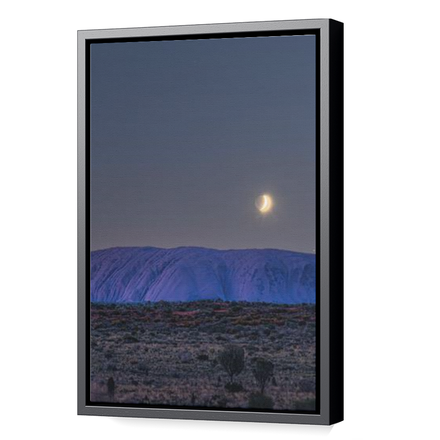 Thumbnail for Canvas - Black Floating Frame