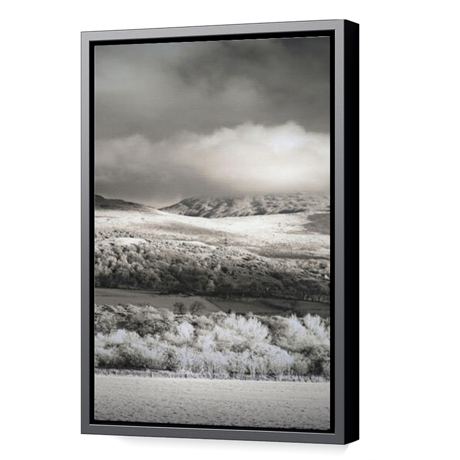 Thumbnail for Canvas - Black Floating Frame