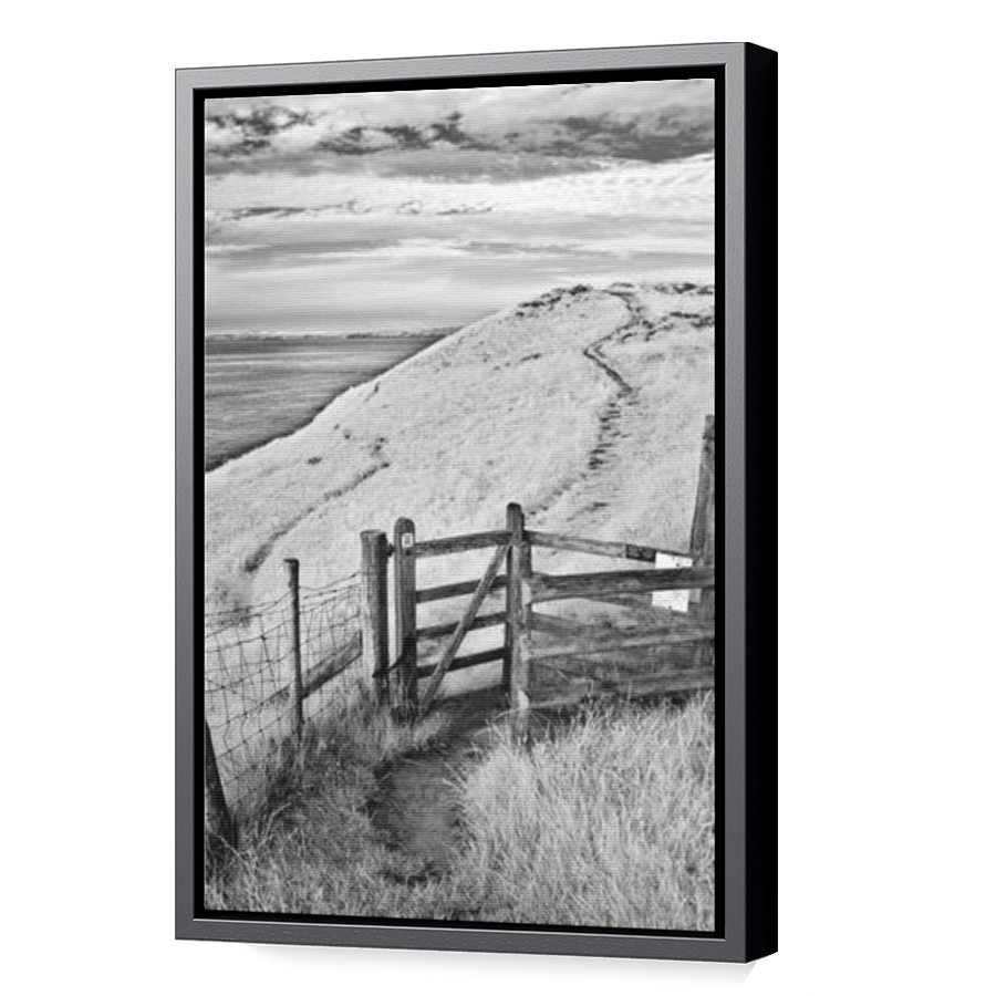 Thumbnail for Canvas - Black Floating Frame