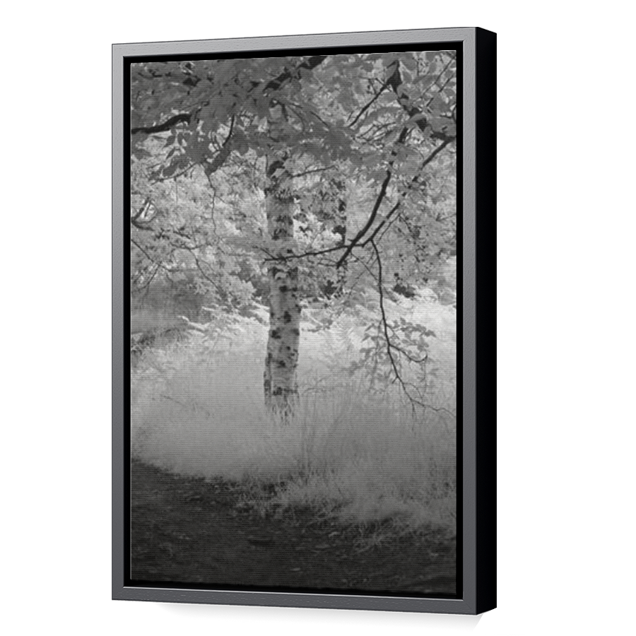 Thumbnail for Canvas - Black Floating Frame