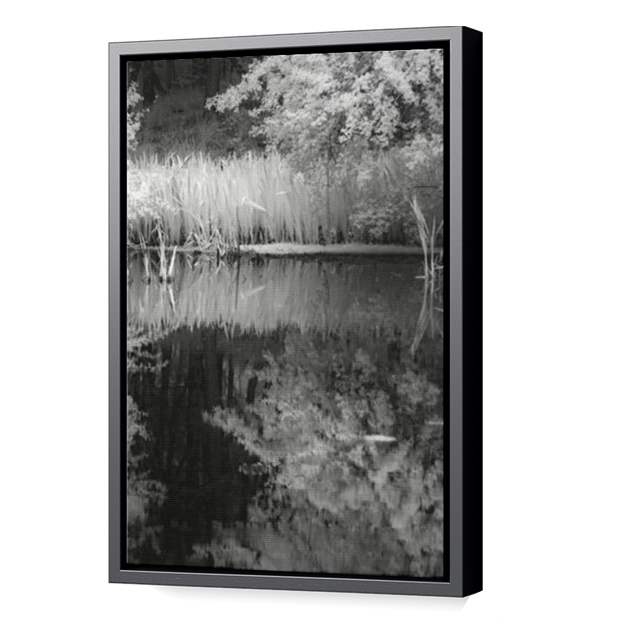 Thumbnail for Canvas - Black Floating Frame