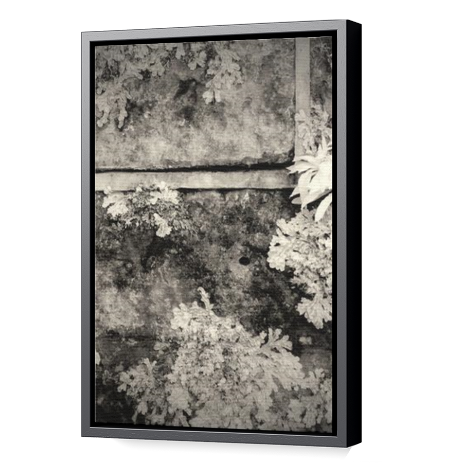 Thumbnail for Canvas - Black Floating Frame