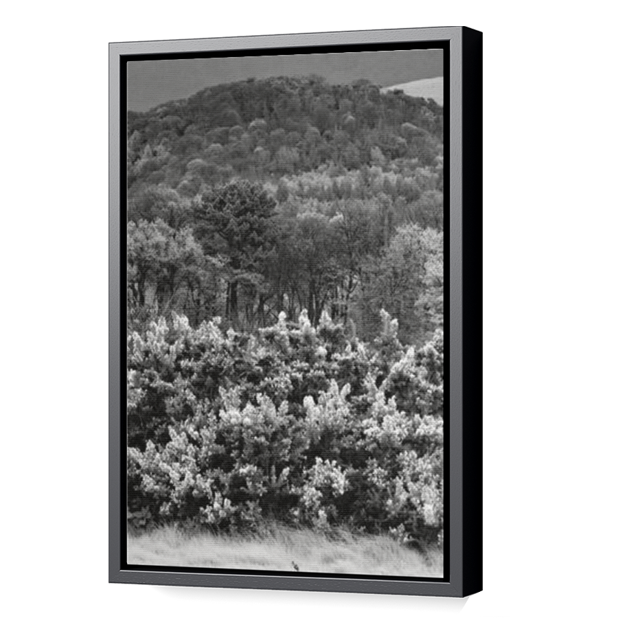 Thumbnail for Canvas - Black Floating Frame