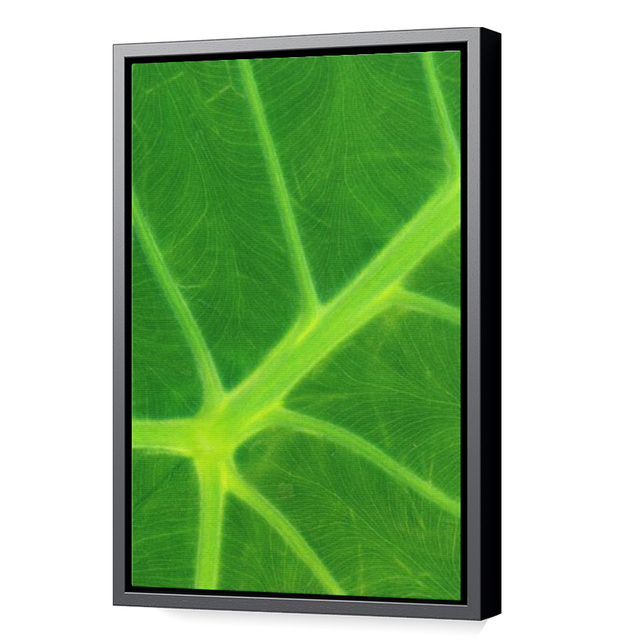 Thumbnail for Canvas - Black Floating Frame