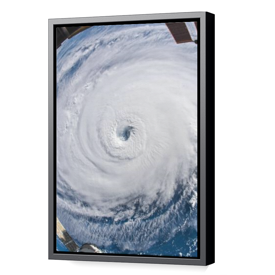 Thumbnail for Canvas - Black Floating Frame