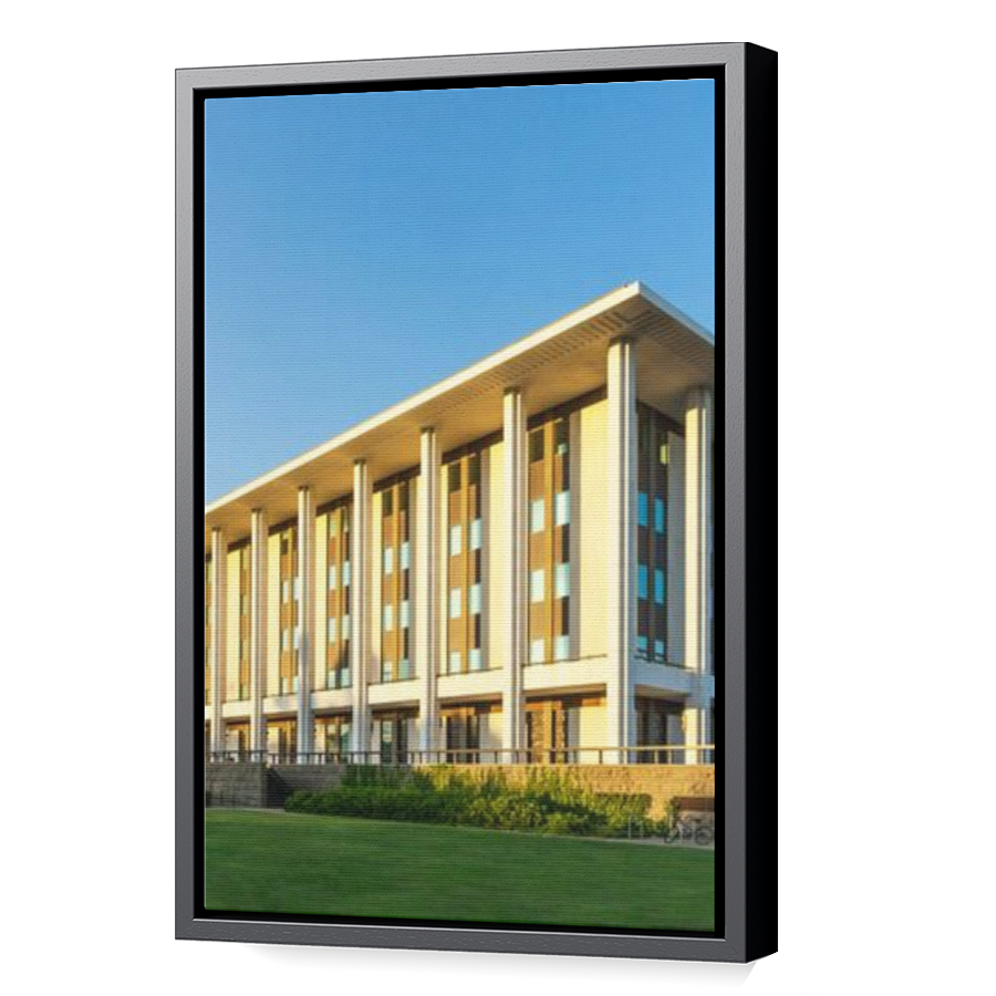 Thumbnail for Canvas - Black Floating Frame