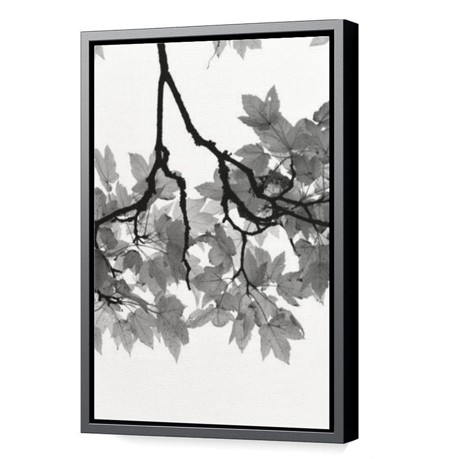 Thumbnail for Canvas - Black Floating Frame