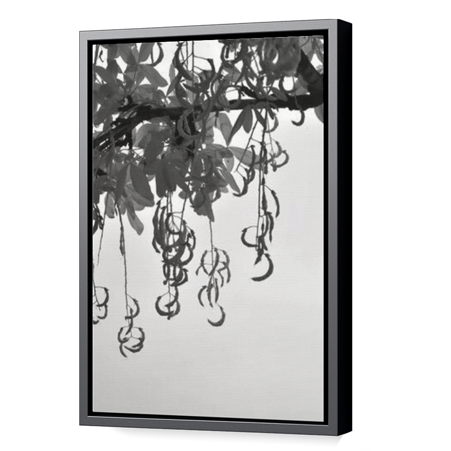 Thumbnail for Canvas - Black Floating Frame