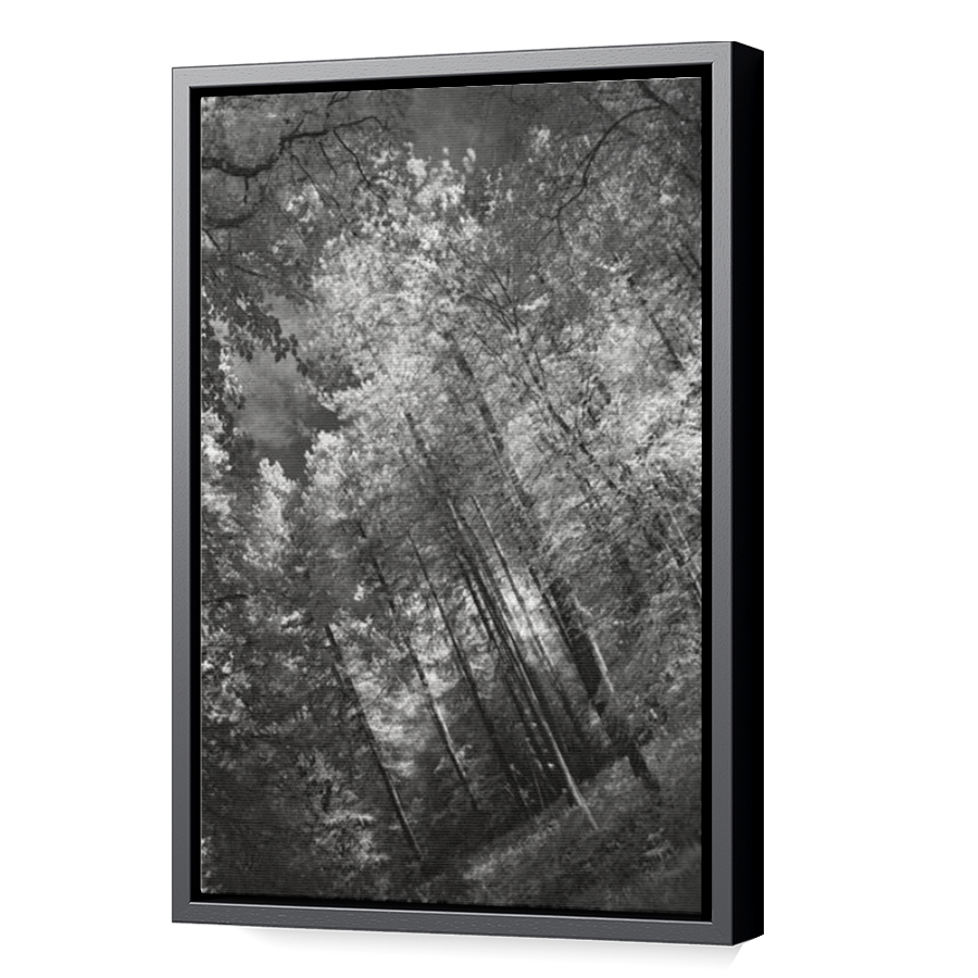 Thumbnail for Canvas - Black Floating Frame