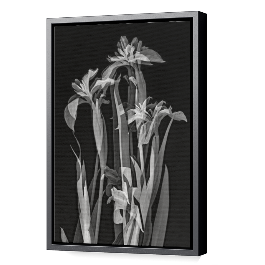 Thumbnail for Canvas - Black Floating Frame