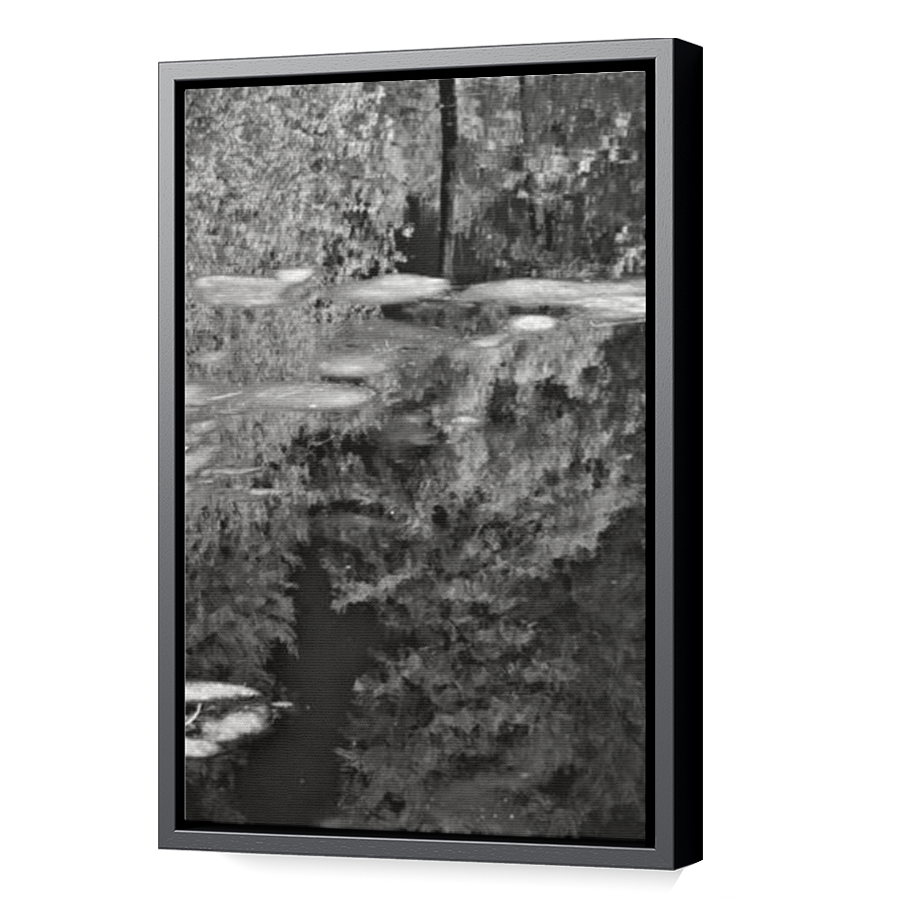 Thumbnail for Canvas - Black Floating Frame