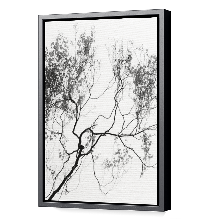 Thumbnail for Canvas - Black Floating Frame