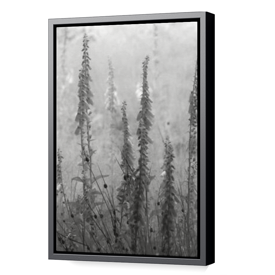 Thumbnail for Canvas - Black Floating Frame